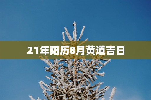 21年阳历8月黄道吉日
