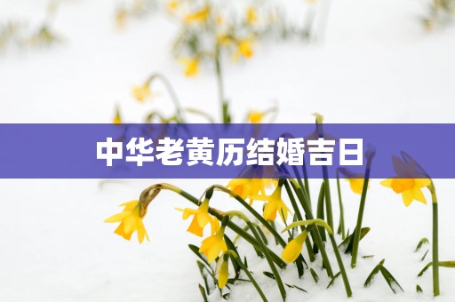 中华老黄历结婚吉日