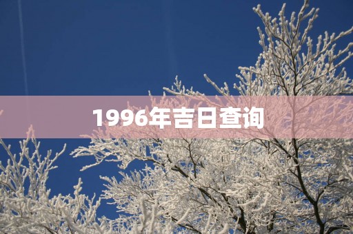 1996年吉日查询