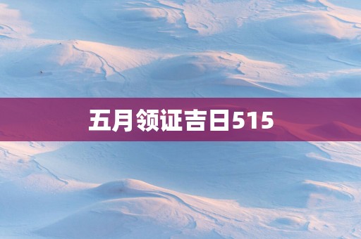 五月领证吉日515