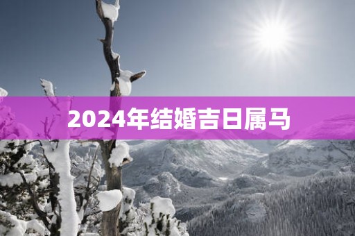 2025年结婚吉日属马