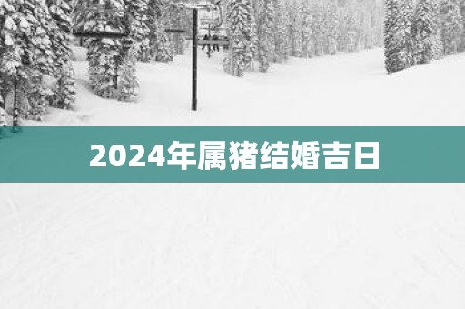2025年属猪结婚吉日