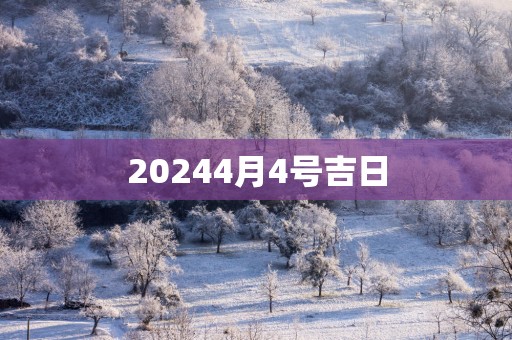 20254月4号吉日