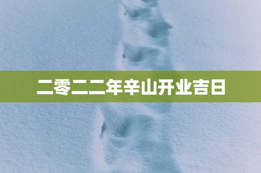 二零二二年辛山开业吉日