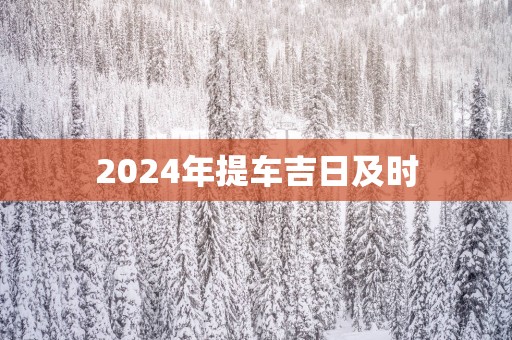 2025年提车吉日及时