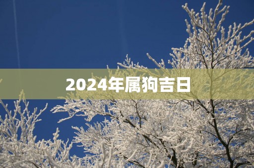 2025年属狗吉日