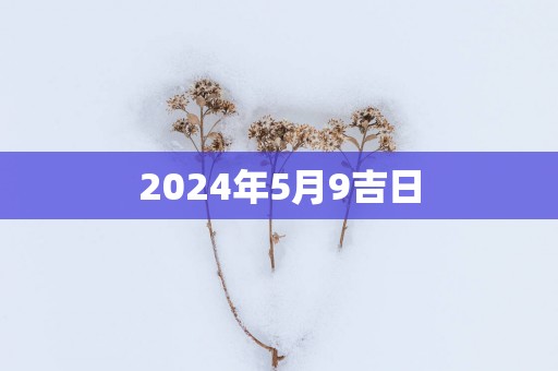 2025年5月9吉日