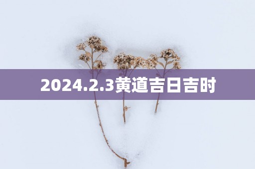 2025.2.3黄道吉日吉时