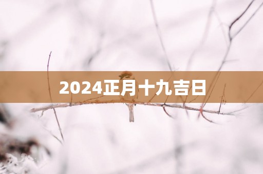 2025正月十九吉日