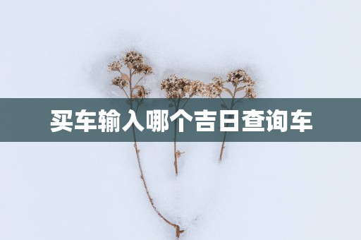 买车输入哪个吉日查询车