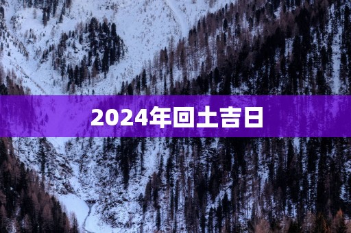 2025年回土吉日