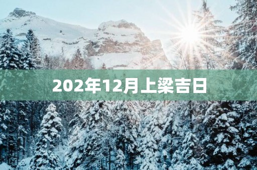 202年12月上梁吉日