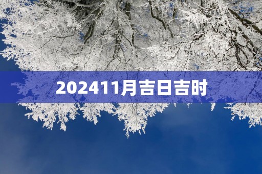 202511月吉日吉时
