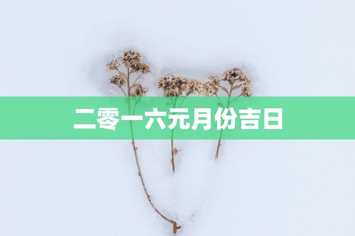 二零一六元月份吉日