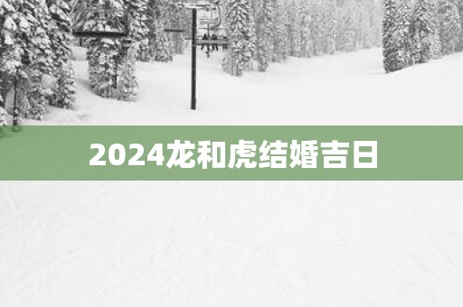 2025龙和虎结婚吉日
