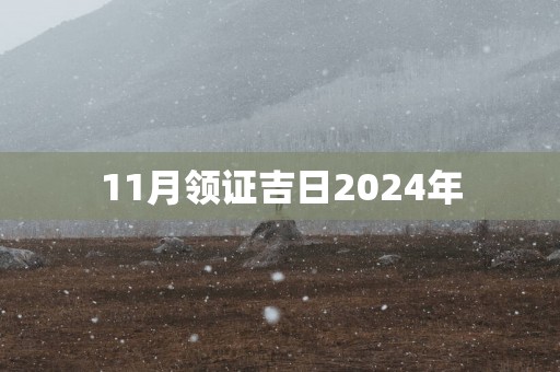 11月领证吉日2025年