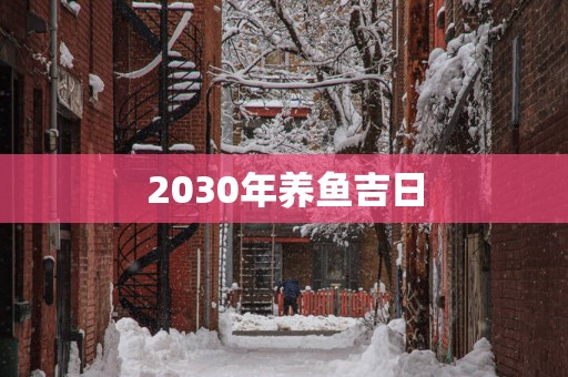 2030年养鱼吉日