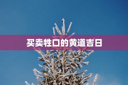 买卖牲口的黄道吉日