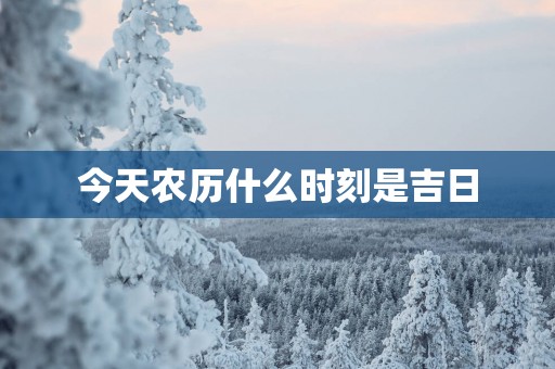 今天农历什么时刻是吉日