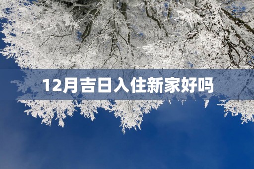 12月吉日入住新家好吗