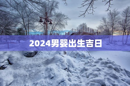 2025男婴出生吉日
