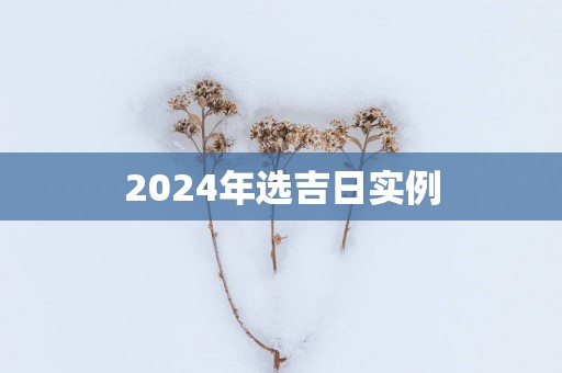 2025年选吉日实例