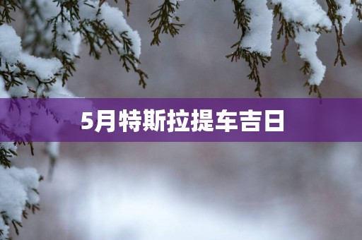 5月特斯拉提车吉日