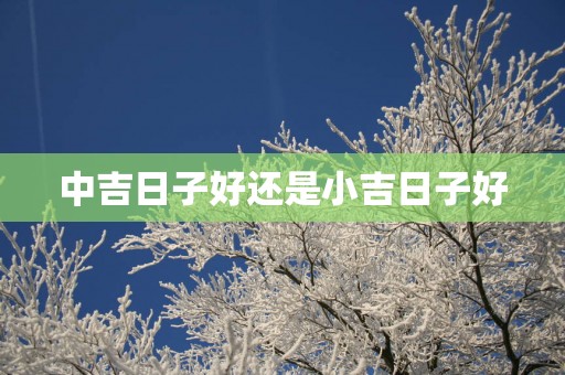 中吉日子好还是小吉日子好