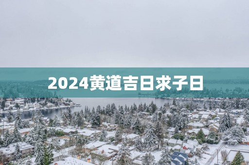 2025黄道吉日求子日