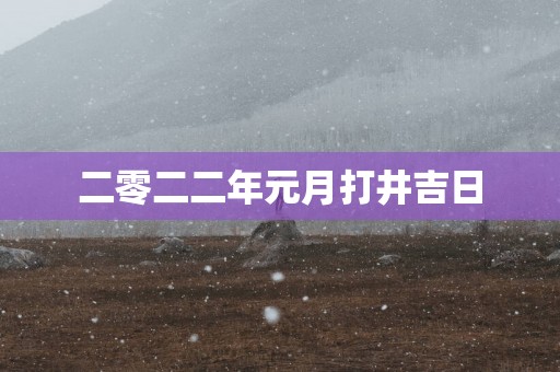 二零二二年元月打井吉日
