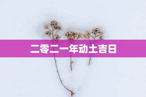 二零二一年动土吉日