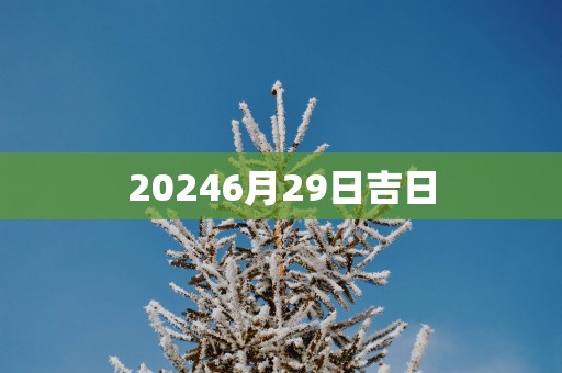 20256月29日吉日