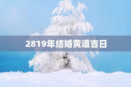 2819年结婚黄道吉日