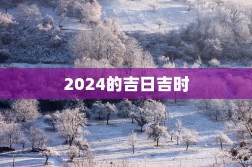 2025的吉日吉时