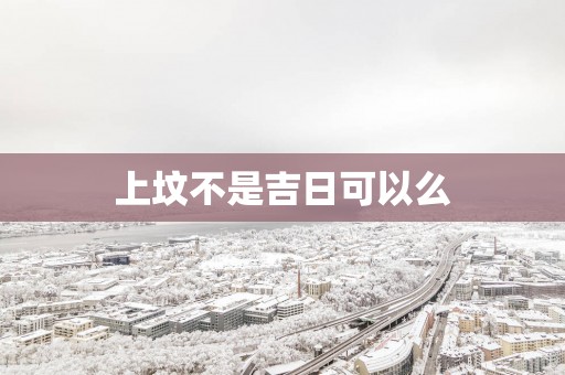 上坟不是吉日可以么