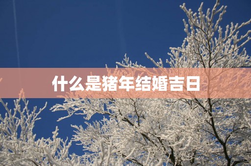 什么是猪年结婚吉日