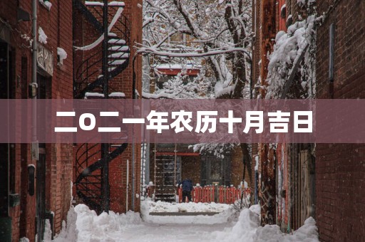 二O二一年农历十月吉日