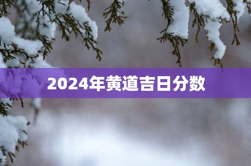 2025年黄道吉日分数