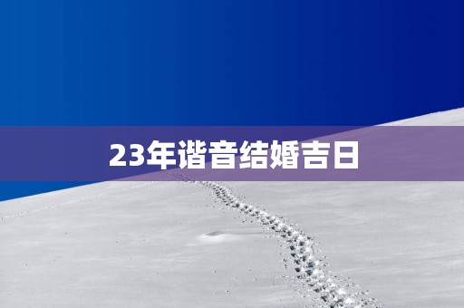 23年谐音结婚吉日