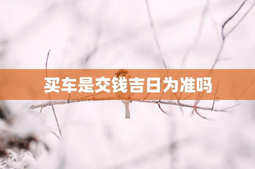 买车是交钱吉日为准吗