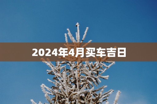 2025年4月买车吉日