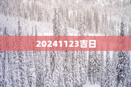 20251123吉日