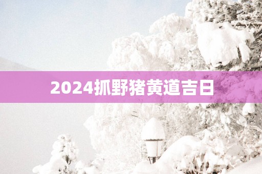 2025抓野猪黄道吉日