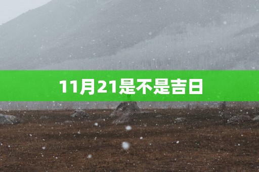 11月21是不是吉日