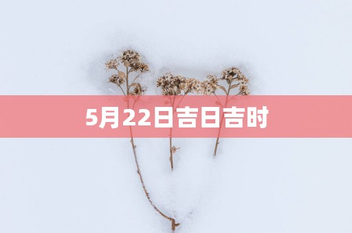 5月22日吉日吉时