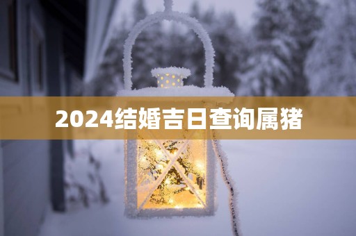 2025结婚吉日查询属猪