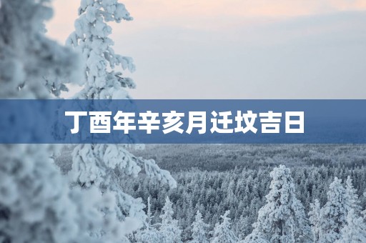 丁酉年辛亥月迁坟吉日