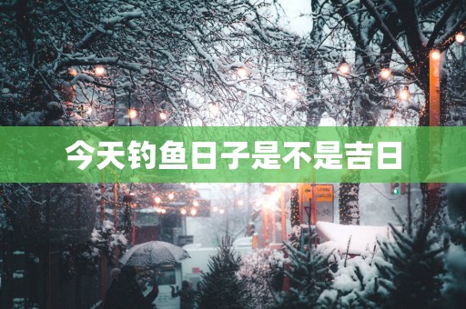 今天钓鱼日子是不是吉日