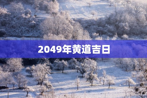 2049年黄道吉日