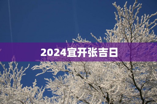2025宜开张吉日